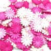 Flores de Papel Mulberry Daisy Rosa