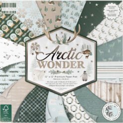 First Edition Papel de Scrapbooking Arctic Wonder