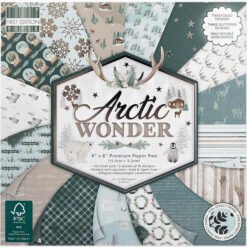 First Edition Papel de Scrapbooking Arctic Wonder