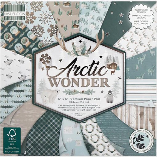 First Edition Papel de Scrapbooking Arctic Wonder