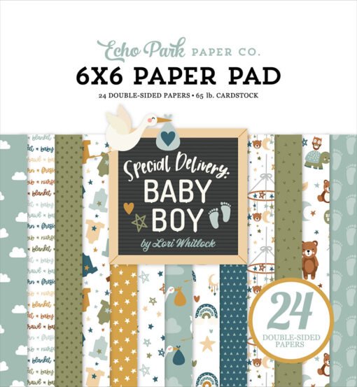 Echo Park Papel de Scrapbooking Special Delivery Baby Boy