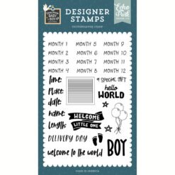 Echo Park Carimbos Special Delivery Baby Boy - Baby Boy Stats