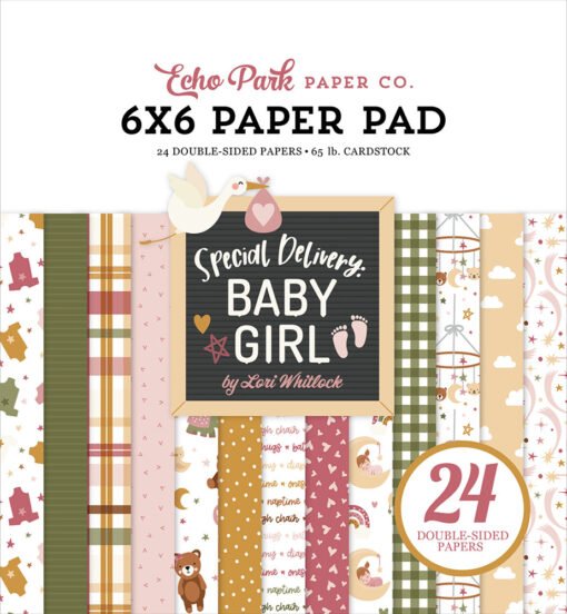 Echo Park Papel de Scrapbooking Special Delivery Baby Girl