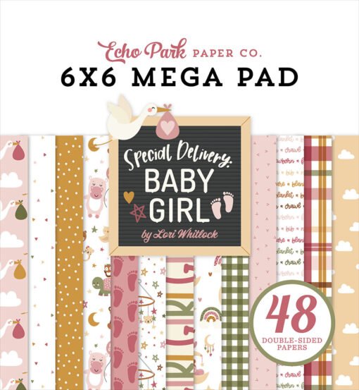 Echo Park Papel de Scrapbooking Mega Special Delivery Baby Girl