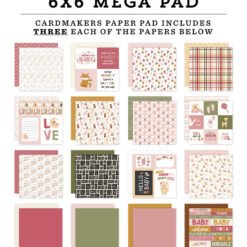 Echo Park Papel de Scrapbooking Mega Special Delivery Baby Girl